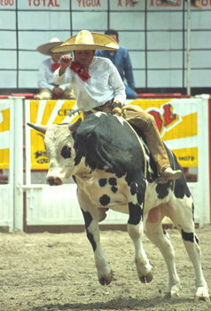 aguascalientes-38.jpg