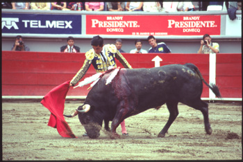 aguascalientes-58.jpg