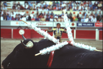 aguascalientes-59.jpg