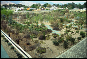 oaxaca-07.jpg