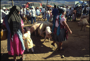 ocotlan-04.jpg