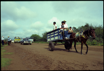 ocotlan-06.jpg
