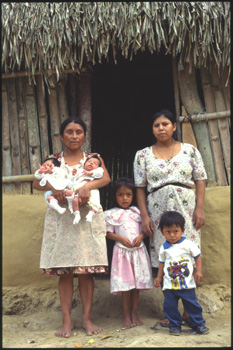papantla-06.jpg