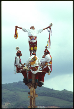 voltigeurs-03.jpg