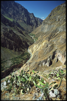 colca-01.jpg