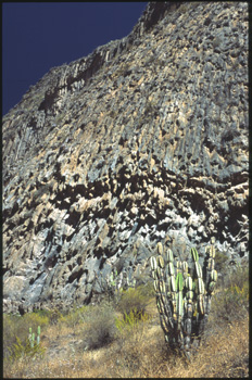 colca-05.jpg