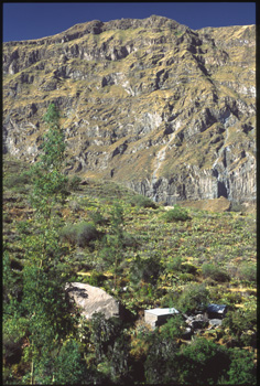 colca-08.jpg