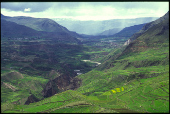 colca-10.jpg
