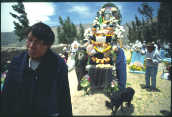 lari-02.jpg