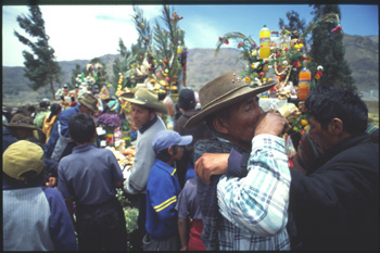 lari-07.jpg