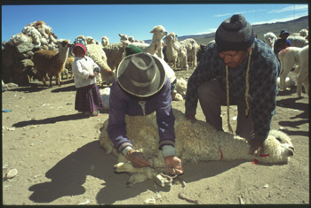 paty-06.jpg