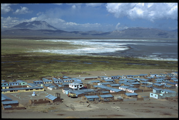 salinas-01.jpg