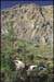 colca-08.jpg