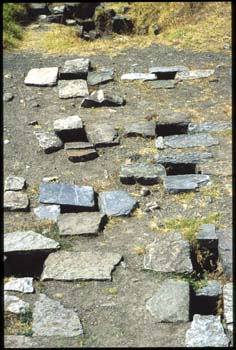 chavin-32.jpg