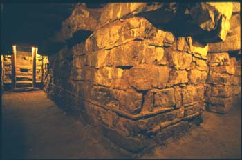 chavin-41.jpg