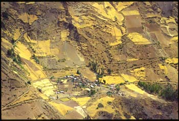 chavin-01.jpg