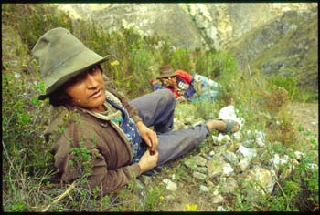 chavin-02.jpg
