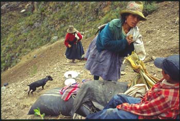chavin-03.jpg