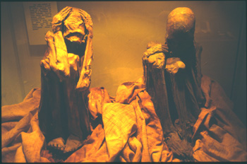 lima-05.jpg