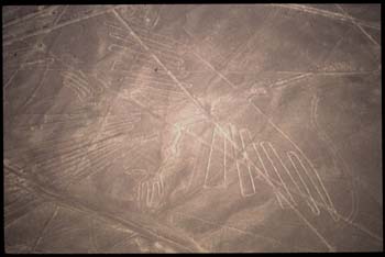 nazca-02.jpg