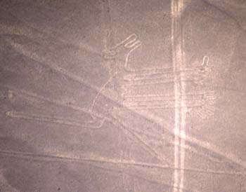 nazca-04.jpg