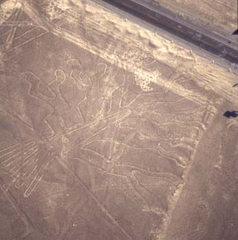 nazca-05.jpg
