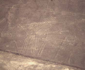 nazca-07.jpg