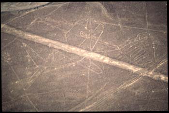 nazca-09.jpg