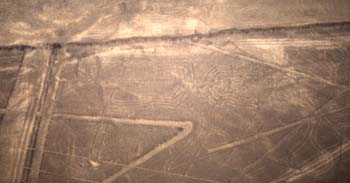 nazca-10.jpg