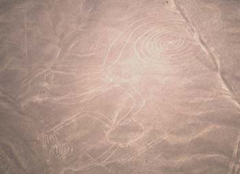 nazca-11.jpg