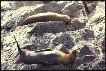 paracas-06.jpg