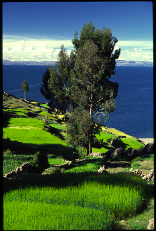amantani-10.jpg