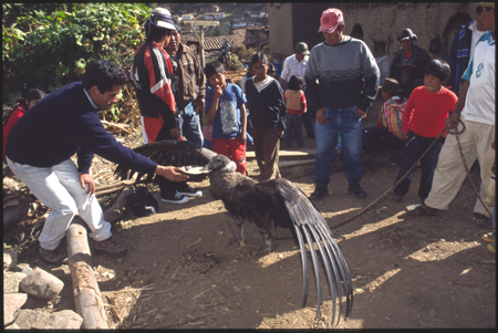 cotabambas-04.jpg