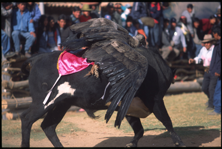 cotabambas-17.jpg