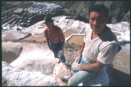 maras-02.jpg