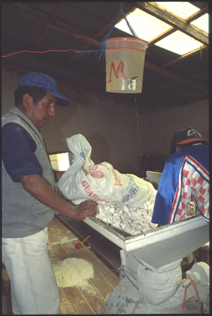 maras-08.jpg