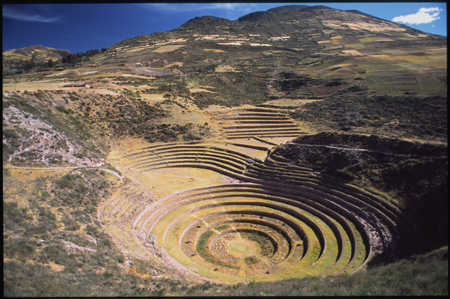 moray-01.jpg